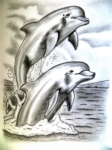 Pencil Drawing Art Dolphin Dolphin Drawing Dolphin Art Art