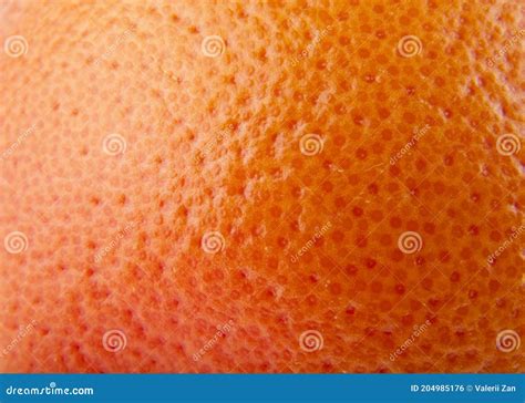 Orange Skin Texture Of Orange Stock Photo Image Of Orange Drops
