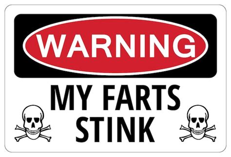 My Farts Stink Warning Funny Novelty Sign T Etsy