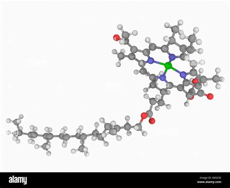 Molécula de clorofila fotografías e imágenes de alta resolución Alamy