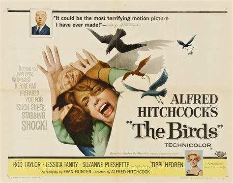 hitchcock birds