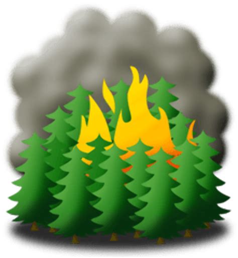 Download High Quality Fire Clipart Forest Transparent Png Images Art