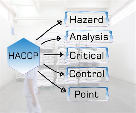 Meaning Of Haccp Abstract Stock Illustration Illustration Of