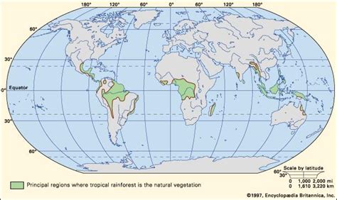 Location Of Tropical Rainforest A Map Of Global Tropical Rainforest