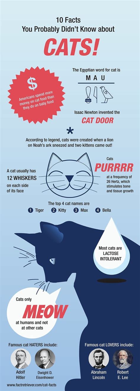 104 Interesting Facts About Cats Cat Facts Cat