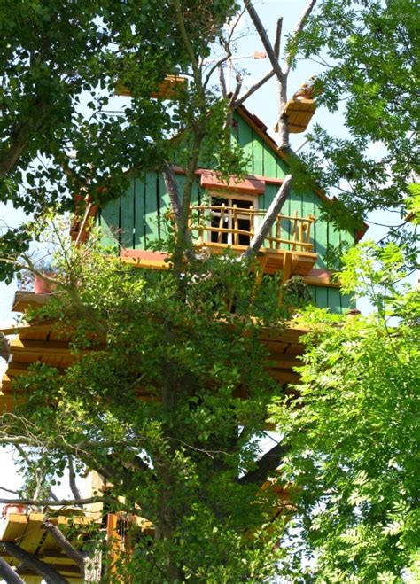 70 Fun Kids Tree Houses Picture Ideas And Examples