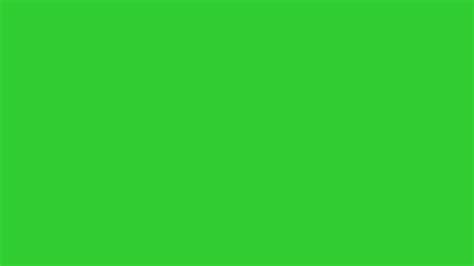 Lime Green Solid Color Backgrounds The Image Kid Has It