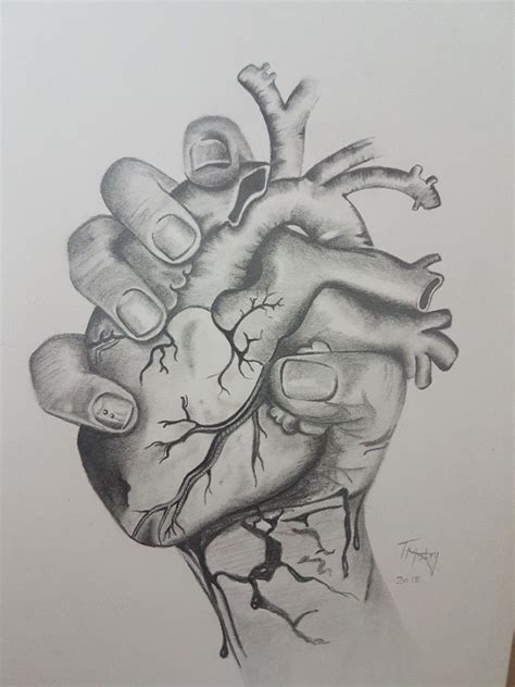 Hand Holding Heart Ripped My Heart Out Pencil Sketch Heart Drawing