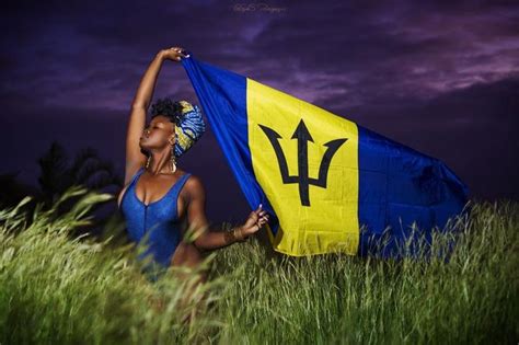Barbados Flag Barbados Barbados Flag Bim