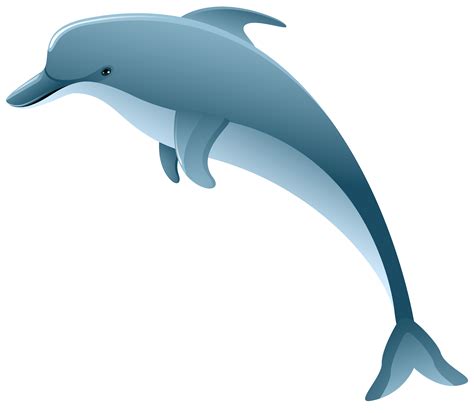 Dolphin Clip Art Dolphin Png Clip Art Image Png Download 80006984