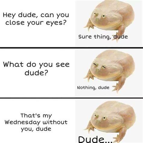 Wholesome Wednesday Frog Rwholesomememes Wholesome Memes Know
