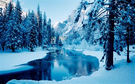 Fondos De Pantalla Árboles Bosque Montañas Naturaleza Nieve