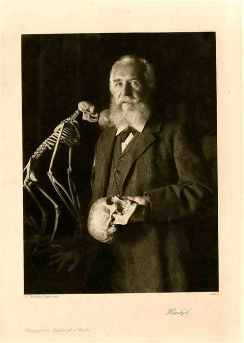 Gustav Klimt And The Evolutionary Monism Of Ernst Haeckel