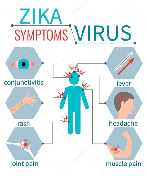 Zika Virus Everything That You Must Know Public Health Notes