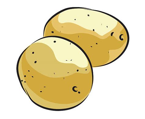 Best Potato Farmer Illustrations Royalty Free Vector