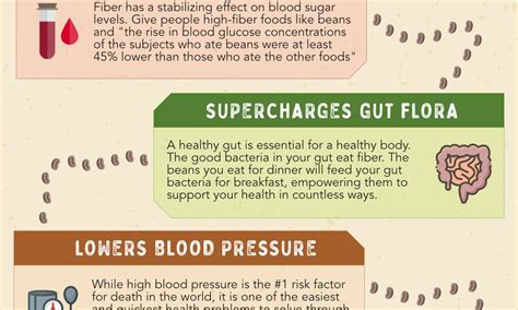 top source of plant based protein {infographic} best infographics in 2020 protein