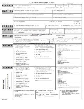 Free certificate maker for custom certificates. 15 Birth Certificate Templates (Word & PDF) - Template Lab ...