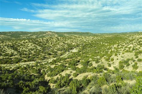 New Mexico Landscape Stock Photo Image Of Green Landscape 164562752