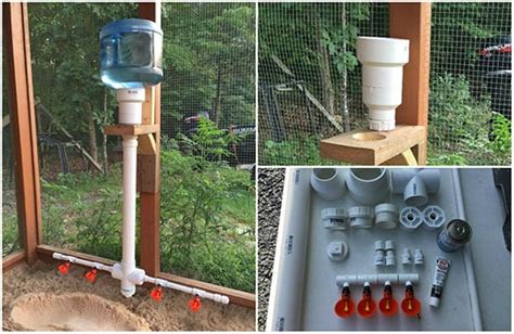 The Ultimate Pvc Chicken Watering System