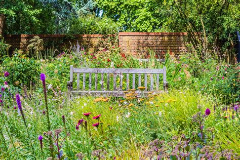 15 Wildflower Garden Ideas For A Wild Backyard Oasis
