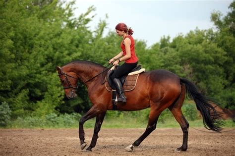 Horseback Riding Injury Lawsuits Determining Fault And Damages