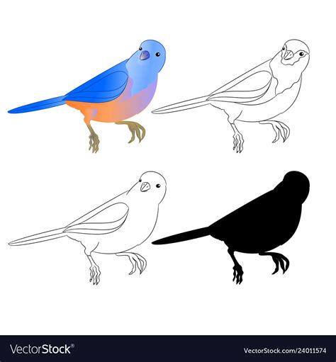 Small Bird Thrush Bluebird Outline Nature Vector Image