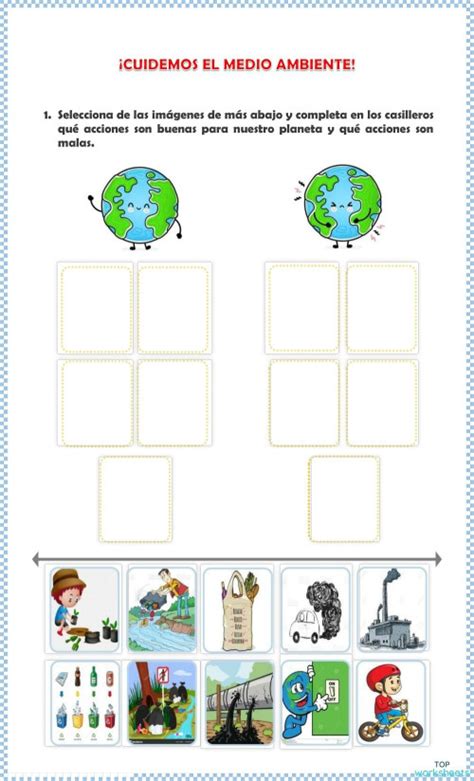 Cuidado Del Ambiente Ficha Interactiva Topworksheets