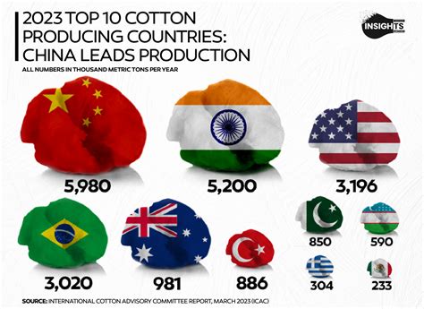 2023 Top 10 Cotton Producing Countries China Leads Production