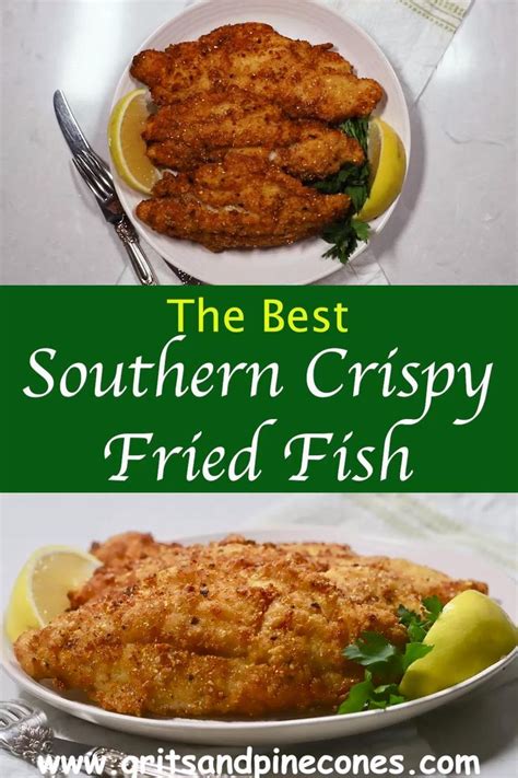 Southern Fried Fish With Crispy Cornmeal Coating Gritsandpinecones