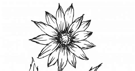 16 Lukisan Taman Bunga Hitam Putih Sketsa Bunga Gambar Bunga Matahari