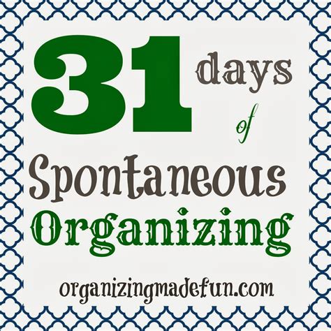31 Days Of Spontaneous Organizing Day 6 Closet Shelves Organizing