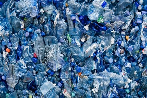 A Mutant Enzyme Sounds Scary But It Could Help Eliminate Plastic Waste