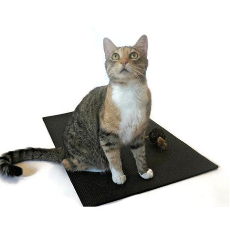 Yoga Cat Mat From Feline Yogi Hauspanther