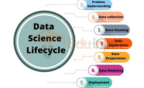 What Is Data Science Applications Lifecycle And Data Scientist