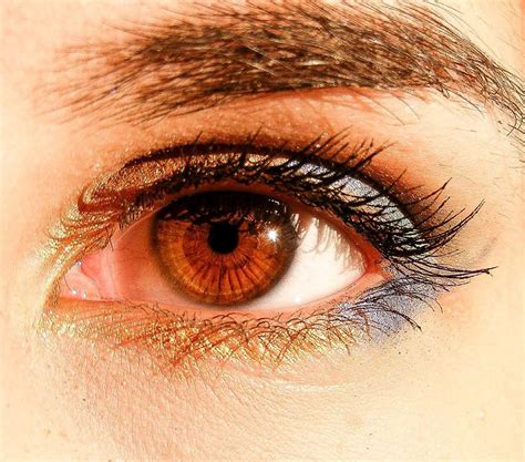 Rarest Eye Color In Humans Owlcation