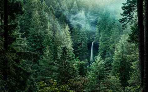 Silver Falls State Park Is The Single Best State Park In Oregon