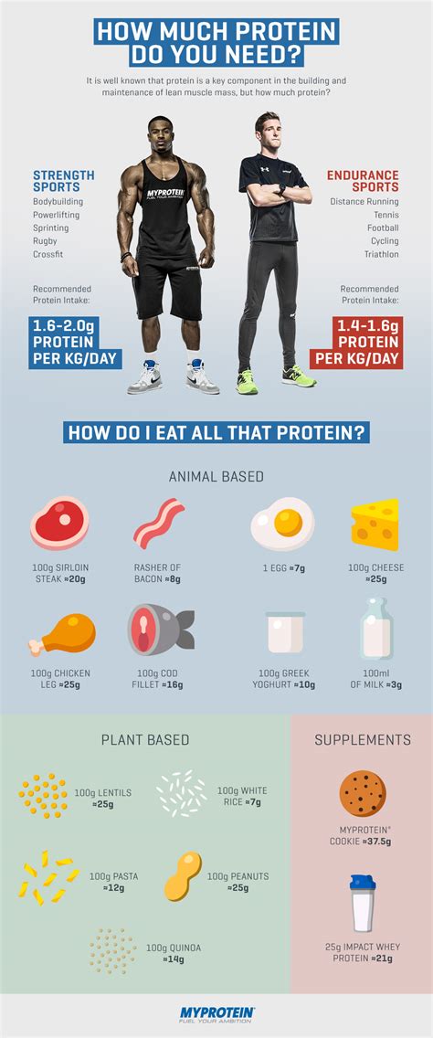 How Much Protein Do You Need INFOGRAPHIC