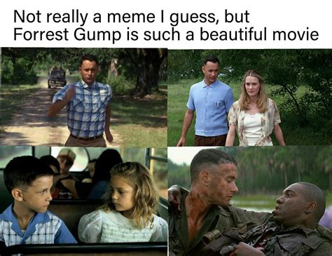 forrest gump is a beautiful movie loss know your meme