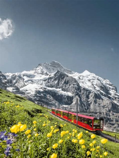 The Ultimate Guide To The Jungfrau Travel Pass Holidays To Switzerland