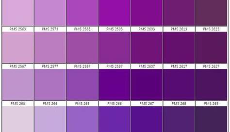 purple color chart names