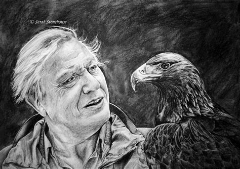 David Attenborough By Scenicsarah On Deviantart