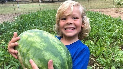 Houstons First Watermelon Of 2018 Youtube