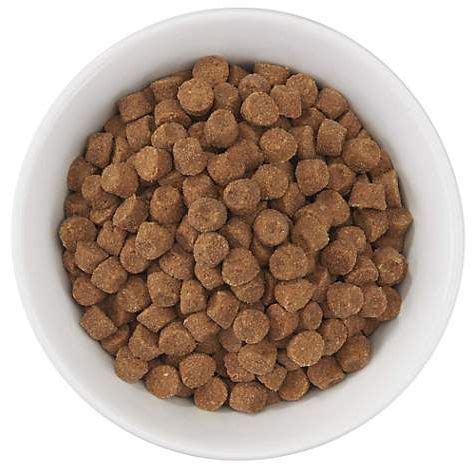 Do you have a dog that won't eat his dry dog food? Can Dogs Eat Dry Cat Food?