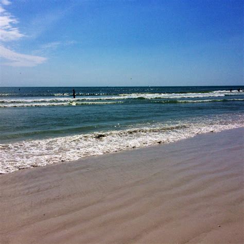 Had a quad bypass instead. 10 Things to Do in Sarasota as a Family