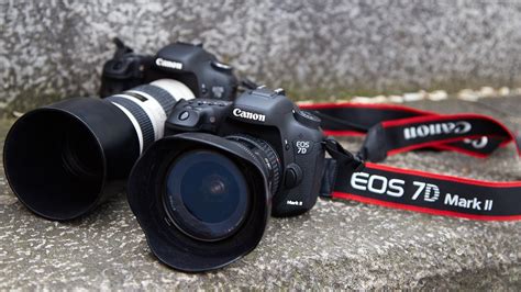 Canon Eos 7d Mark Ii Dslr Für Sport Und Tierfotografen Im Test