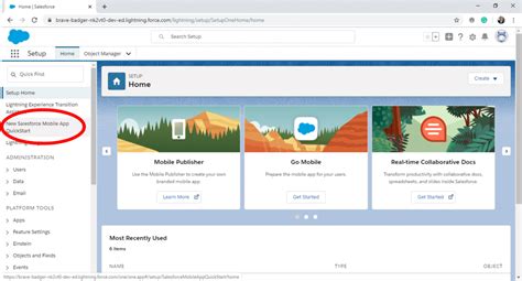 Introducing The New Salesforce Mobile App Bkonect
