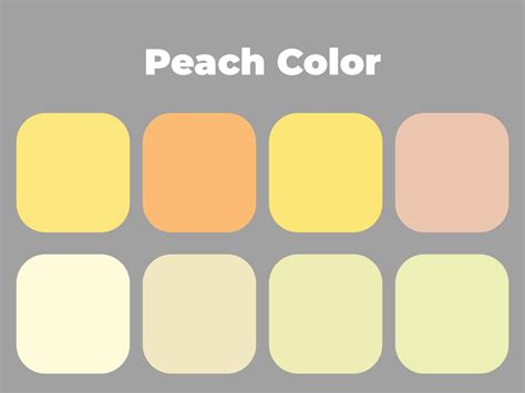 Pastel Peach Color Palette Soft Colors 3422164 Vector Art At Vecteezy