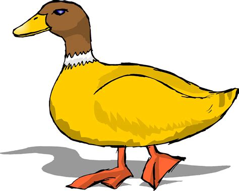 Pictures Of Ducks Cartoons Clipart Best