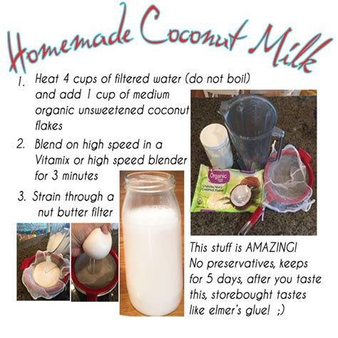 Homemade Coconut Milk Recipe Beth Nielsen Chapman