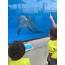Marineland Dolphin Adventure  All You Need To Know BEFORE Go